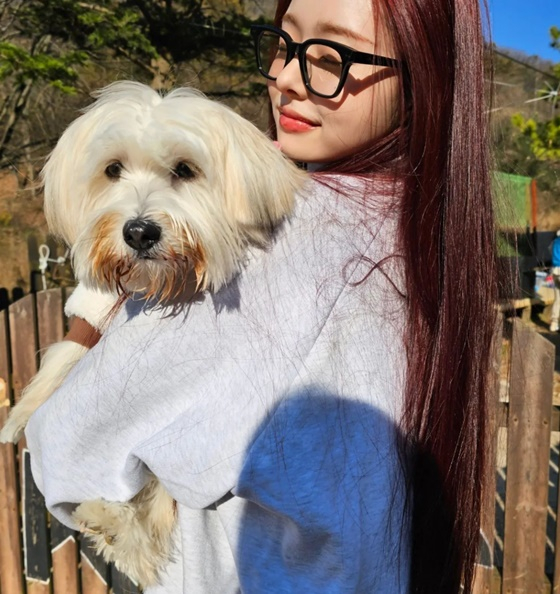 프리지아/사진=유기견 보호소 코리안독스
