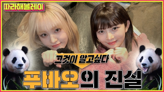/사진=유튜브 채널 '섭씨쉽도'