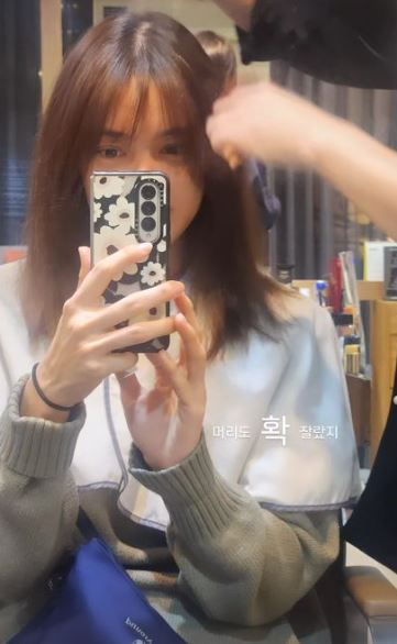 /사진=안현모