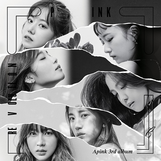 /사진=에이핑크