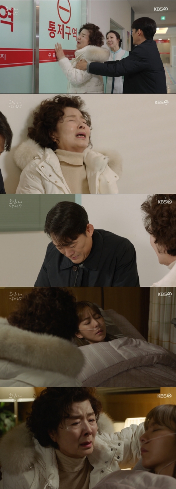 /사진='효심이네 각자도생' 방송화면 캡쳐