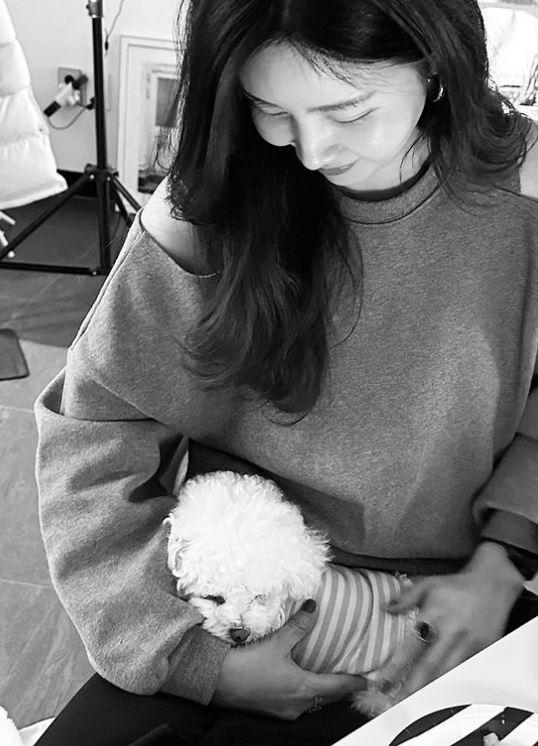 /사진=송혜교
