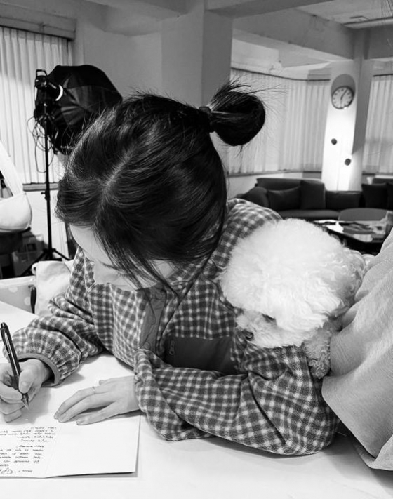 /사진=송혜교