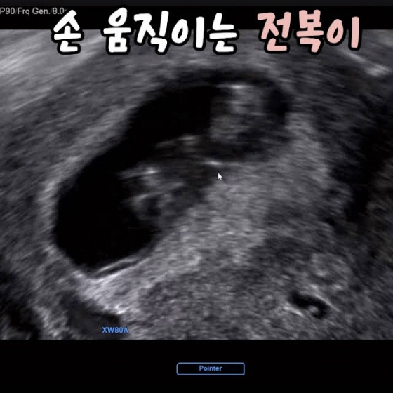 /사진=김다예