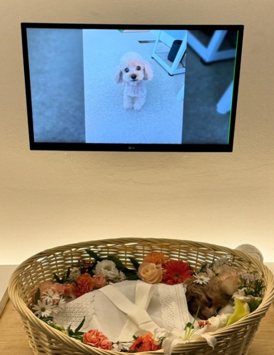 /사진=김준희