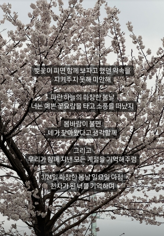/사진=김준희