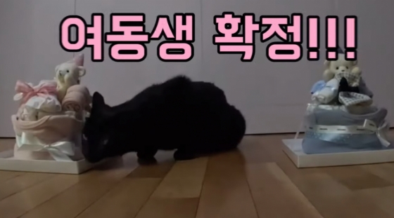 /사진=유튜브 채널 '박수홍 행복해다홍'