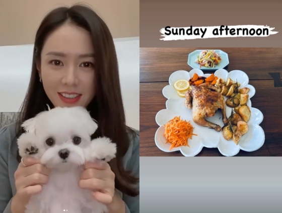 /사진=손예진