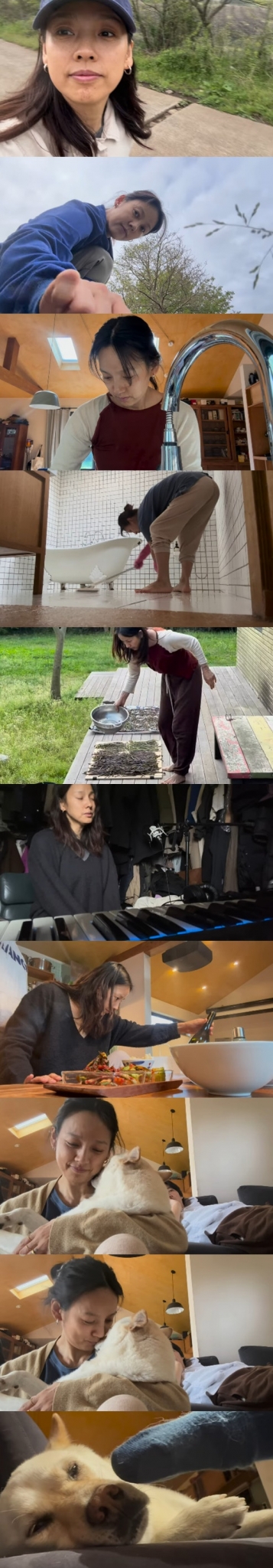 이효리