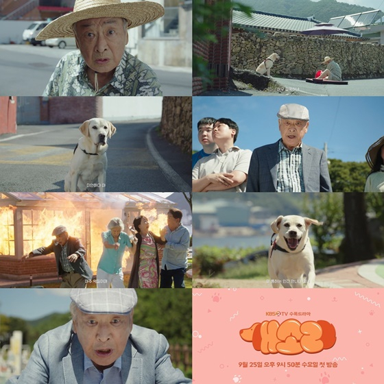 /사진=KBS 2TV