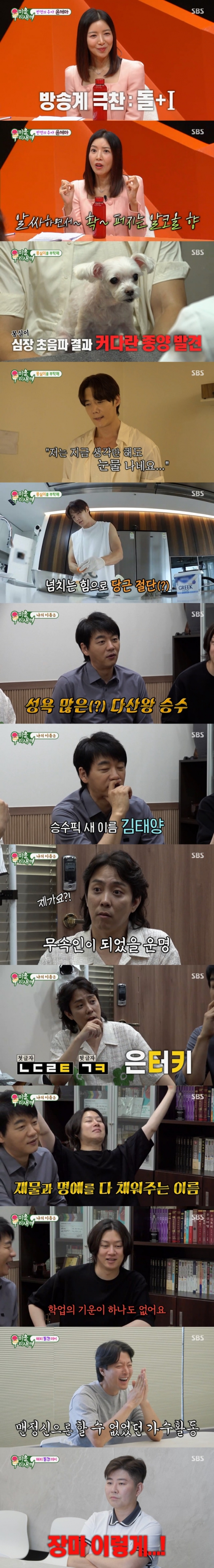 사진=SBS 미운 우리 새끼