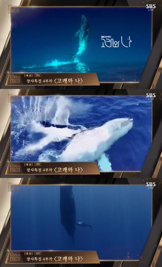 /사진=SBS '제51회 한국방송대상' 중계화면 캡처