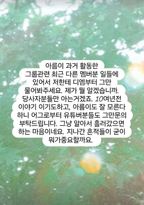 /사진=아름이 연인 A씨 SNS를 통해 밝힌 티아라 관련 입장