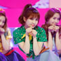 12번째 이미지