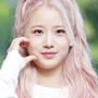 33번째 이미지