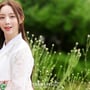 15번째 이미지