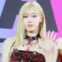 33번째 이미지