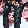 12번째 이미지