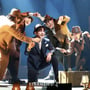 6번째 이미지