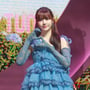 15번째 이미지