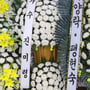 2번째 이미지