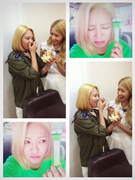 /사진=소녀시대 효연 인스타그램
