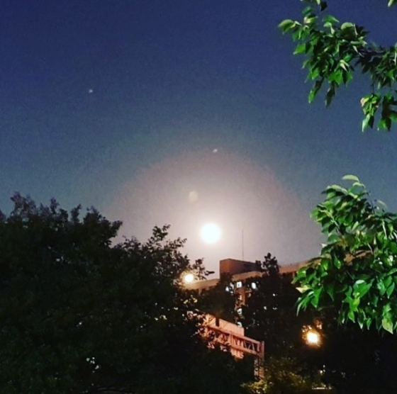 /사진=이해인 인스타그램