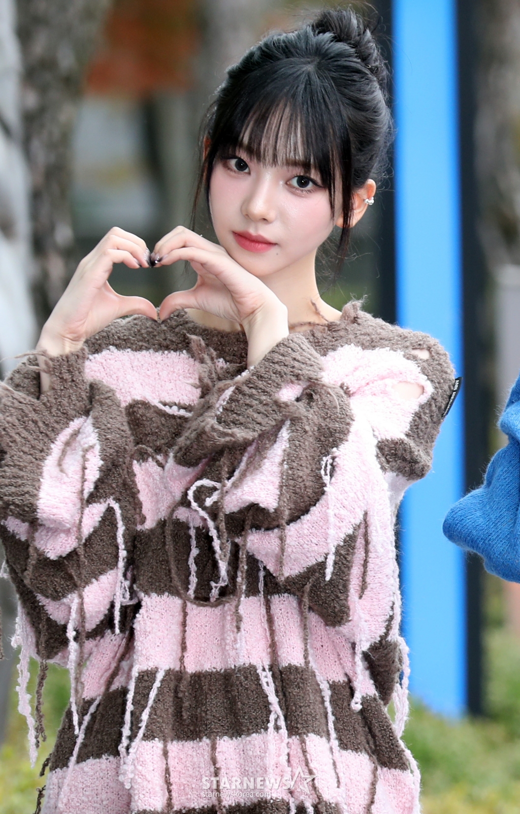 사진