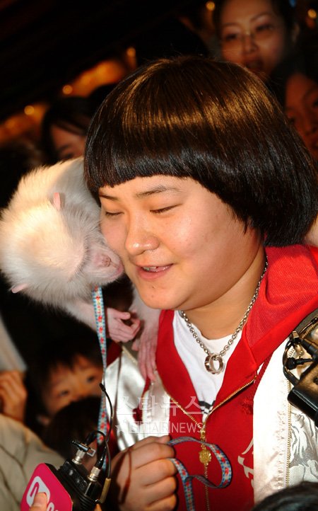 사진