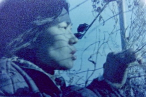 사진