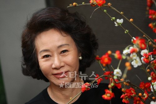 사진