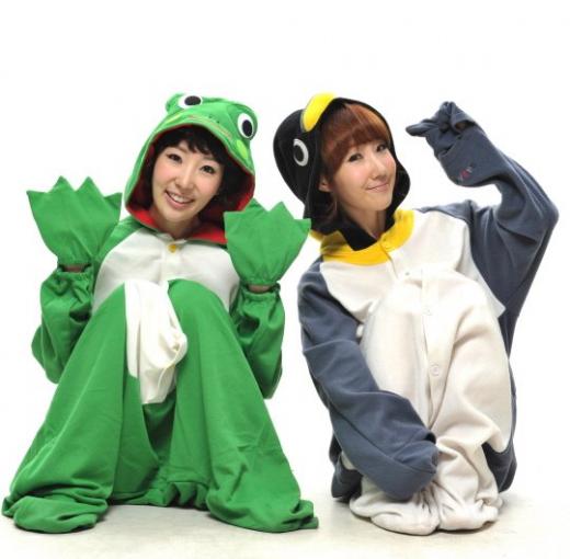 사진