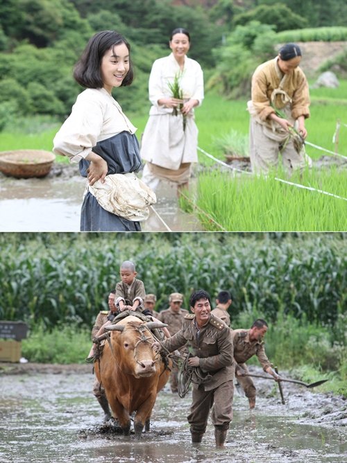 사진