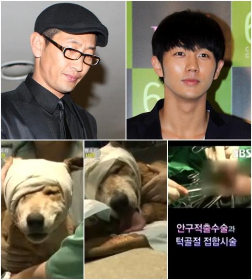 사진