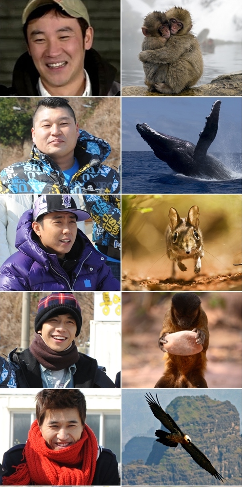 사진