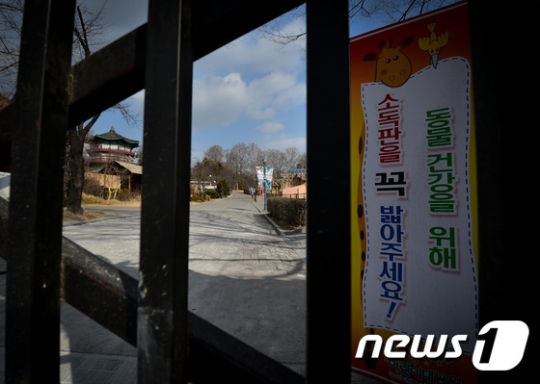 12일 오후 2시 49분경 사자에 물린 서울 능동 어린이대공원의 사육사가 병원으로 이송됐지만 끝내 숨진 것으로 전해졌다. /사진=뉴스1