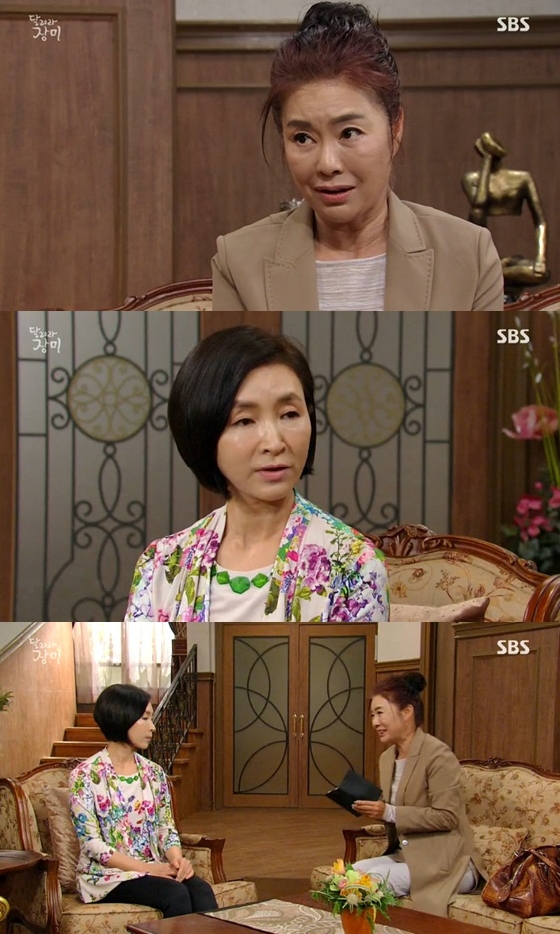 /사진=SBS '달려라 장미' 방송화면 캡쳐