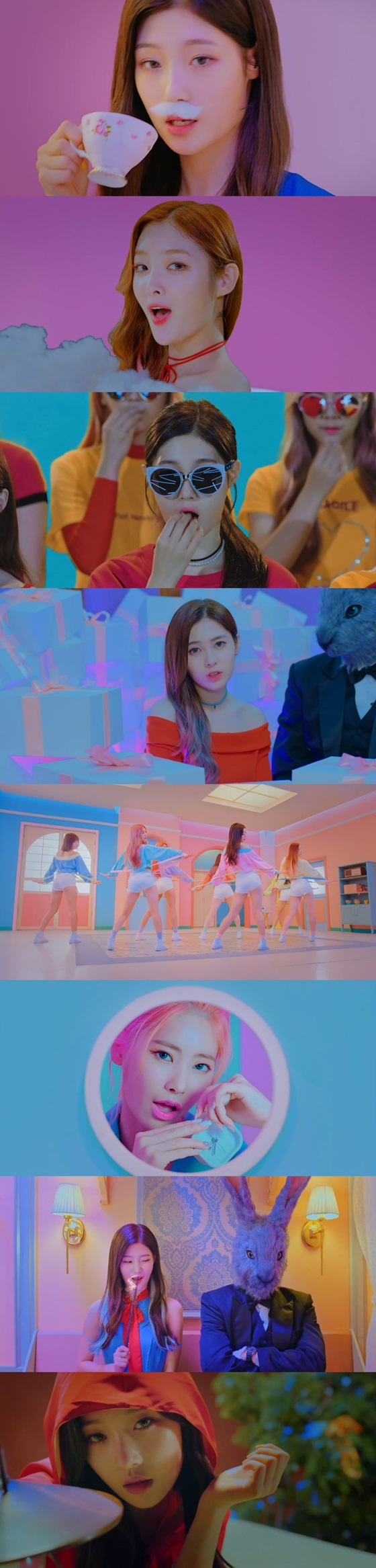 사진