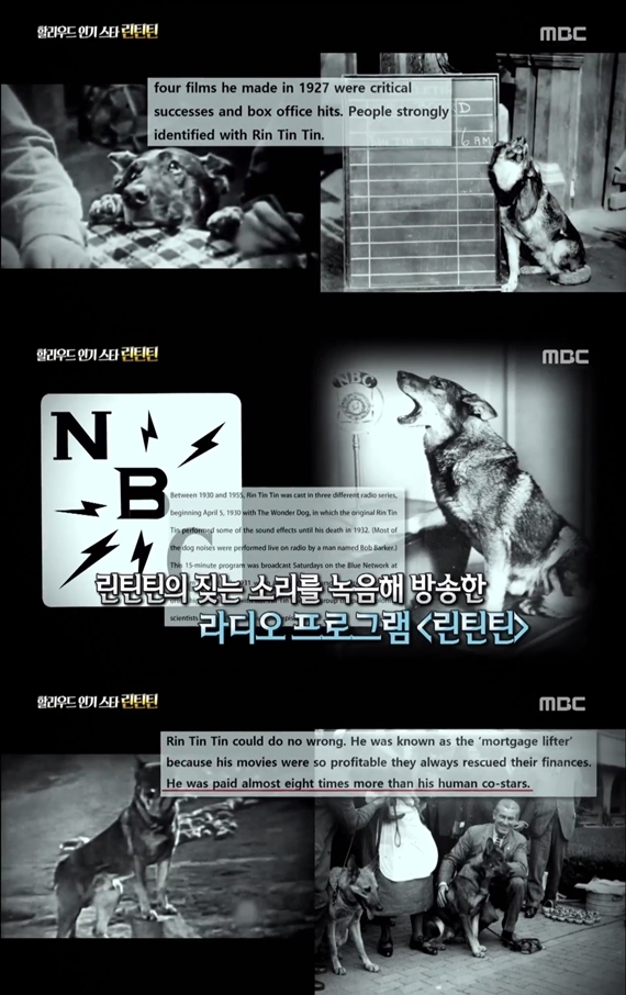 /사진=MBC '신비한 TV 서프라이즈' 방송화면 캡처