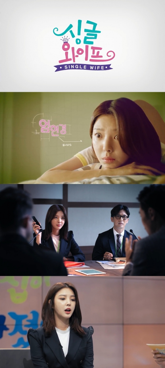 /사진=드라맥스 드라마 '싱글와이프' 방송화면 캡처