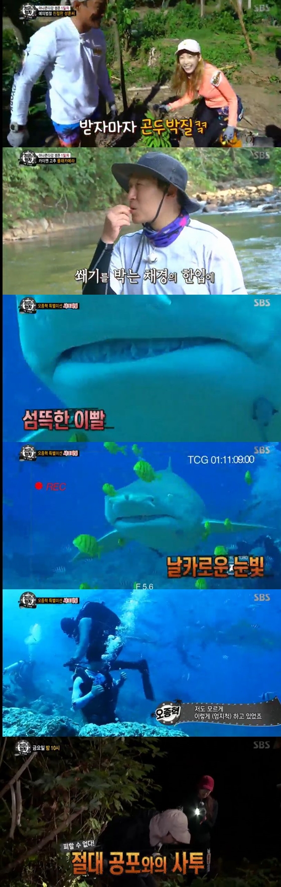 /사진='정글의법칙' 방송화면 캡처