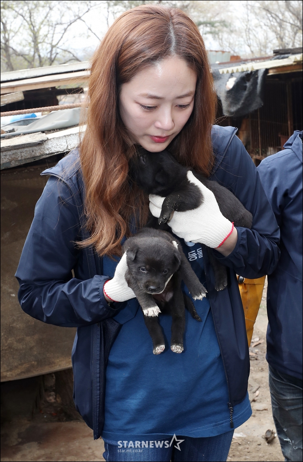 사진