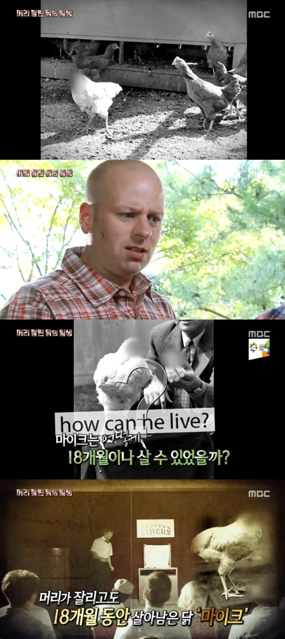 /사진제공=MBC '신비한TV 서프라이즈' 방송화면 캡처