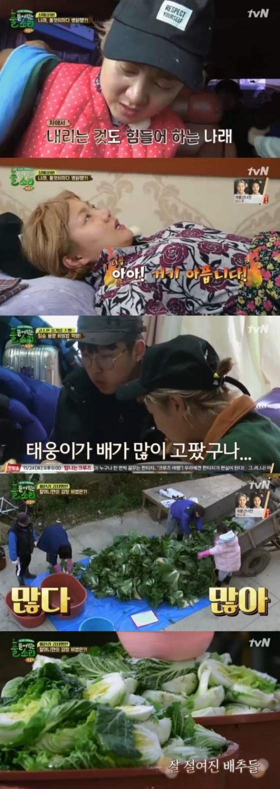 /사진=tvN '풀 뜯어먹는 소리' 방송화면 캡처