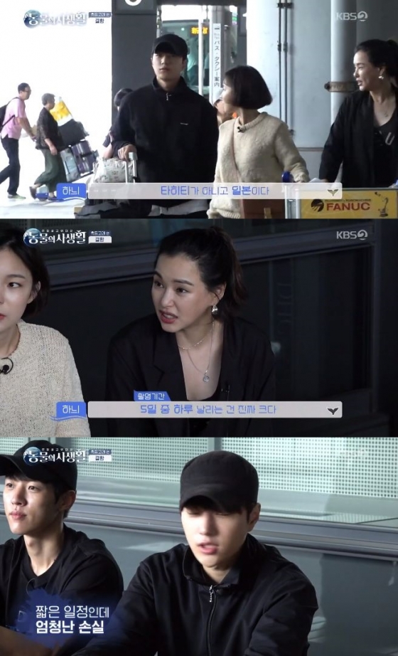 /사진=KBS 2TV '동물의 사생활' 방송화면 캡처
