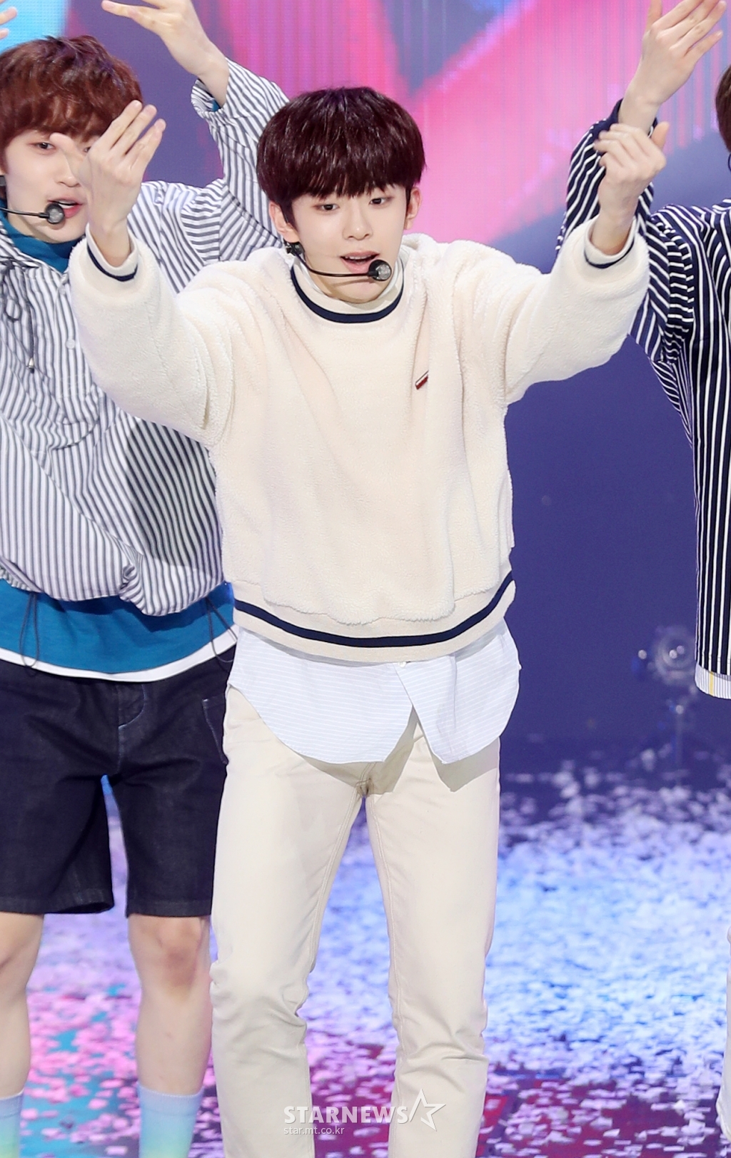 사진