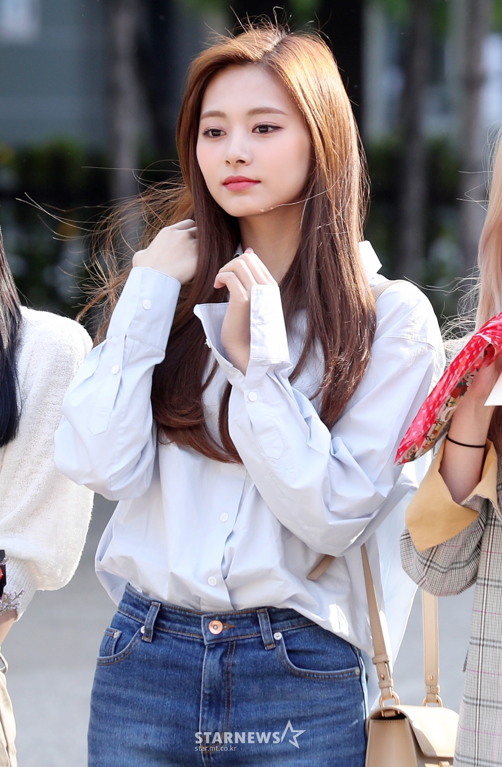 사진