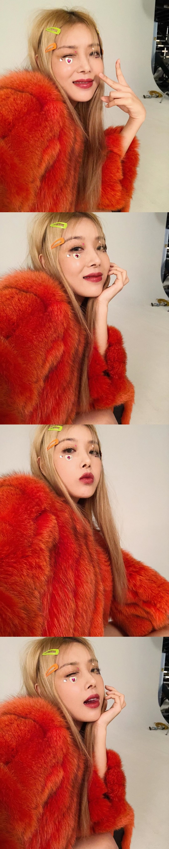 사진