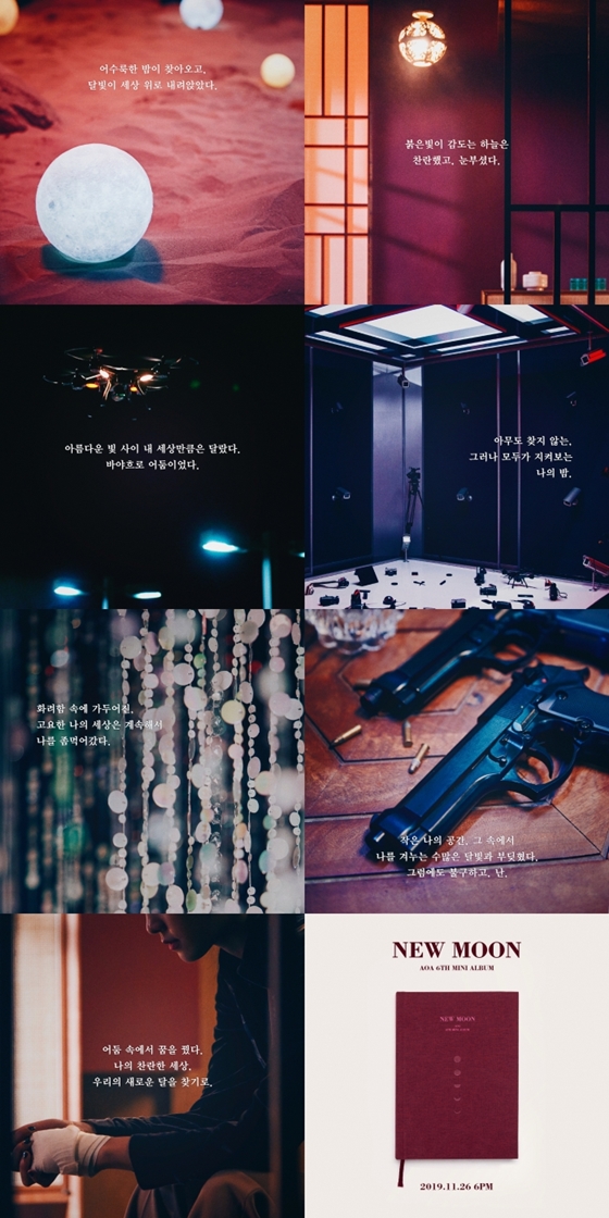 /사진=FNC엔터테인먼트