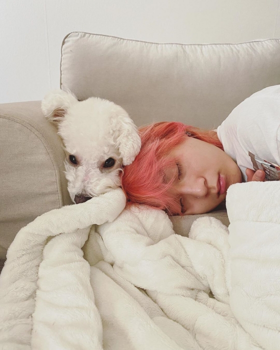 /사진=현아 인스타그램 (반려견 소금이 던)